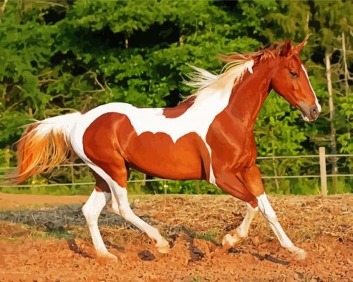 Brown And White Horse Animal Diamond Painting