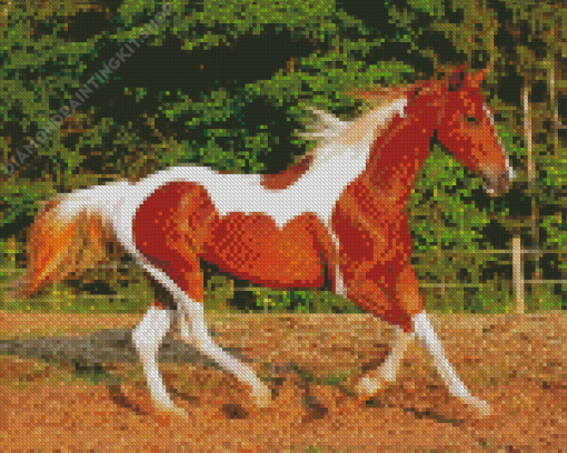 Brown And White Horse Animal Diamond Painting