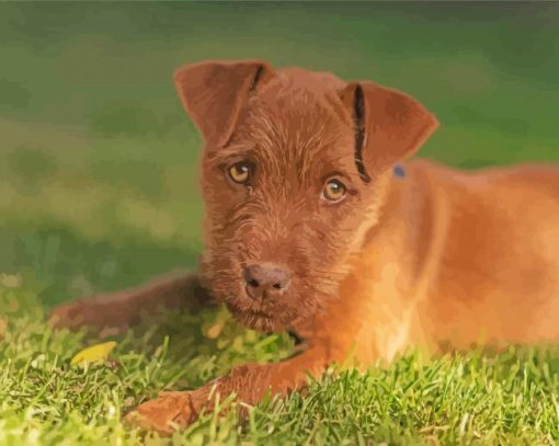 Brown Patterdale Terrier Dog Diamond Painting