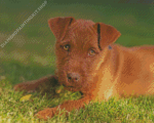 Brown Patterdale Terrier Dog Diamond Painting