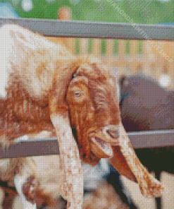 Brown And White Long Eared Goat Diamond Painting