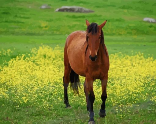 Brown Mare Horse Diamond Painting