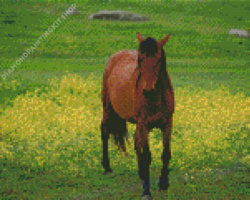 Brown Mare Horse Diamond Painting