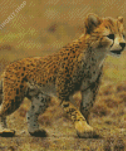 Cheetah Baby Diamond Painting