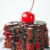 Cherry Chocolate Cake Diamond Paintings