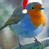 Christmas Robin In Santa Hat Diamond Painting