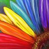 Colorful Daisy Art Diamond Paintings