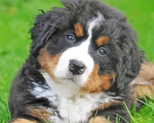 Cute Bernedoodle Puppy Diamond Painting