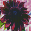 Dark Pink Sunflower Diamond Painting