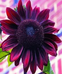 Dark Pink Sunflower Diamond Painting