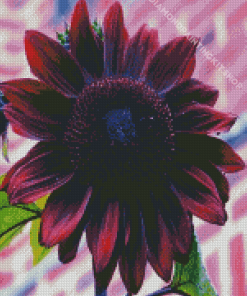 Dark Pink Sunflower Diamond Painting