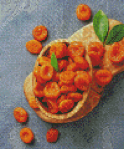 Dried Apricot Fruits Diamond Painting