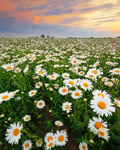 Field Of Daisies Flowers Diamond Paintings