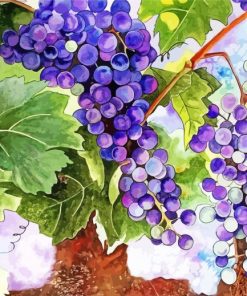 Grape Vines Art Diamond Paintings