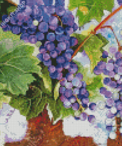 Grape Vines Art Diamond Paintings