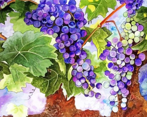 Grape Vines Art Diamond Paintings