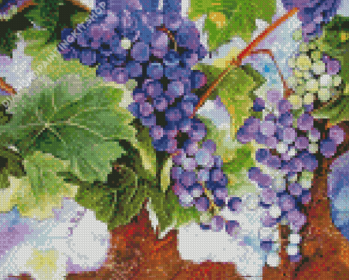 Grape Vines Art Diamond Paintings