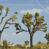 Joshua Tree National Forest Diamond Paintings