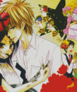 Kaichou Wa Maid Sama Anime Manga Diamond Paintings