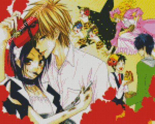 Kaichou Wa Maid Sama Anime Manga Diamond Paintings