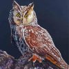 Long Eared Owl Art Diamond Painting