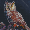 Long Eared Owl Art Diamond Painting