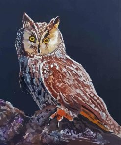 Long Eared Owl Art Diamond Painting