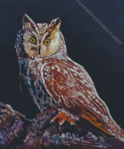 Long Eared Owl Art Diamond Painting