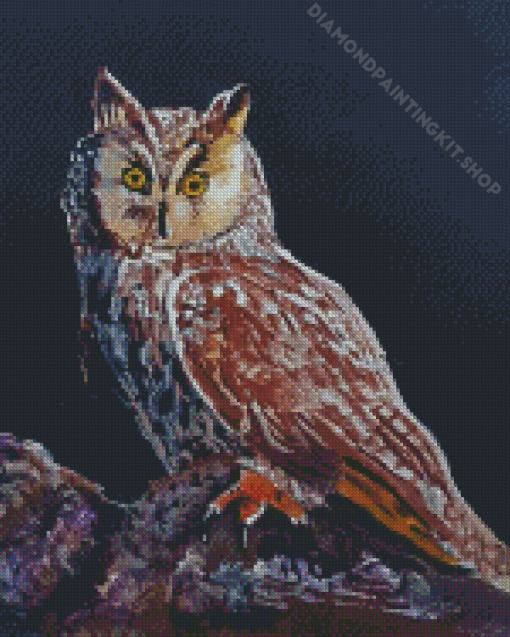 Long Eared Owl Art Diamond Painting