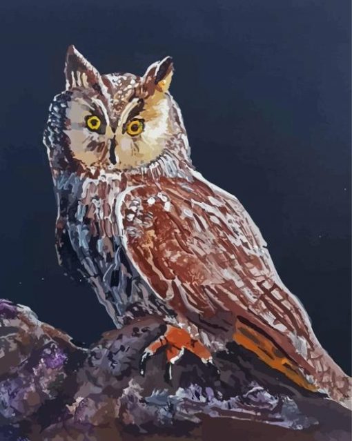 Long Eared Owl Art Diamond Painting