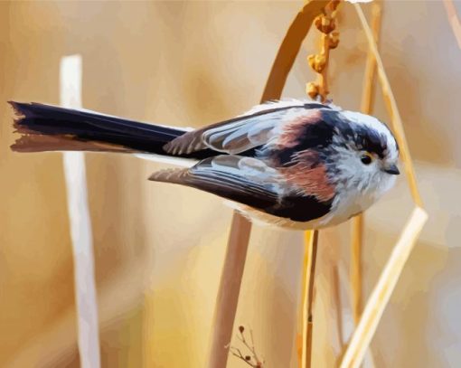 Long Tailed Tit Bird Diamond Paintings