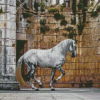 Lusitano Horse Diamond Paintings