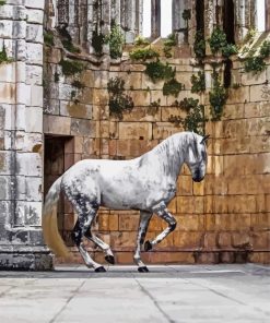 Lusitano Horse Diamond Paintings