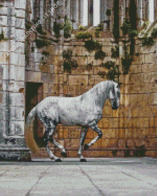 Lusitano Horse Diamond Paintings