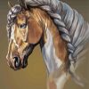 Mare Horse Art Diamond Painting