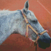 Mare Horse Side Profile Diamond Painting