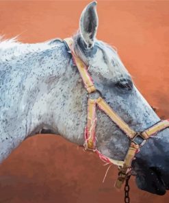 Mare Horse Side Profile Diamond Painting