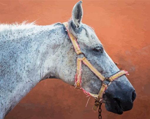 Mare Horse Side Profile Diamond Painting