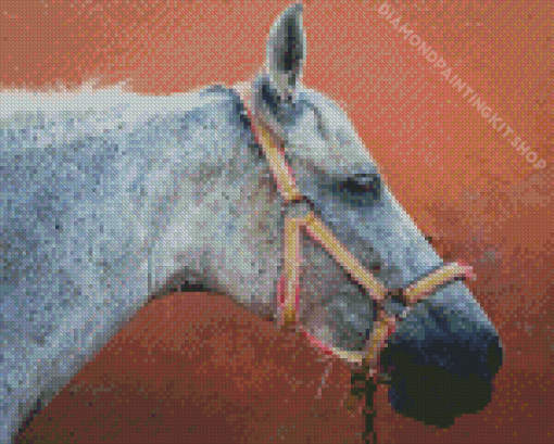 Mare Horse Side Profile Diamond Painting