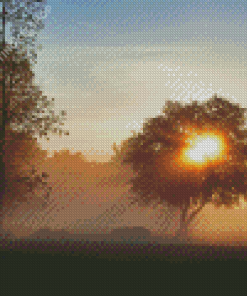 Misty Sunrise Trees Silhouette Diamond Painting