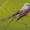 Oklahoma Flycatcher Diamond Paintings