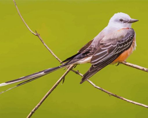 Oklahoma Flycatcher Diamond Paintings