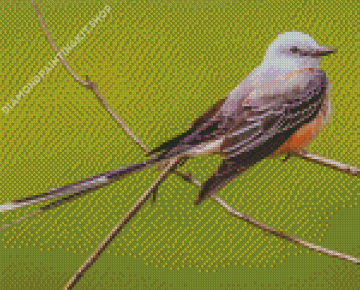 Oklahoma Flycatcher Diamond Paintings