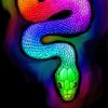 Rainbow Python Snak Diamond Paintings