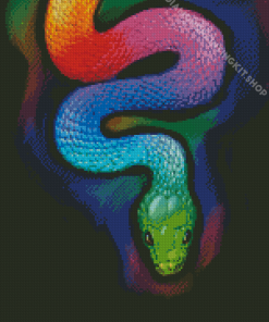 Rainbow Python Snak Diamond Paintings