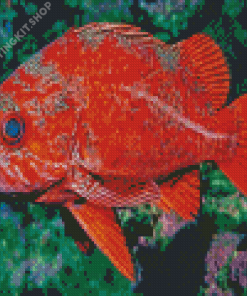 Rockfish Diamond Painting