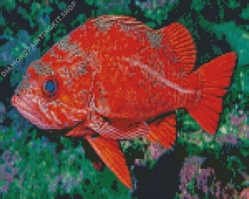 Rockfish Diamond Painting