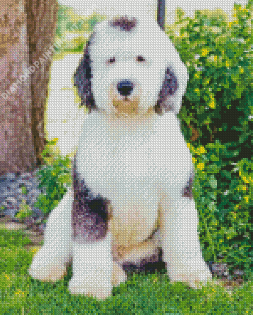 Sheepadoodle Dog Animal Diamond Paintings