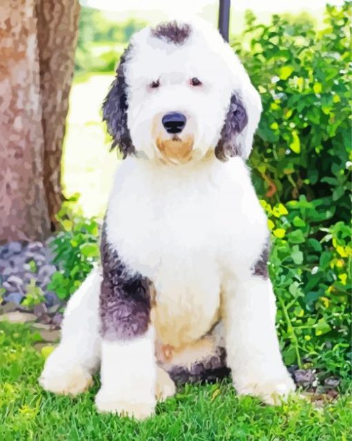 Sheepadoodle Dog Animal Diamond Paintings