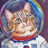 Space Cat Diamond Painting